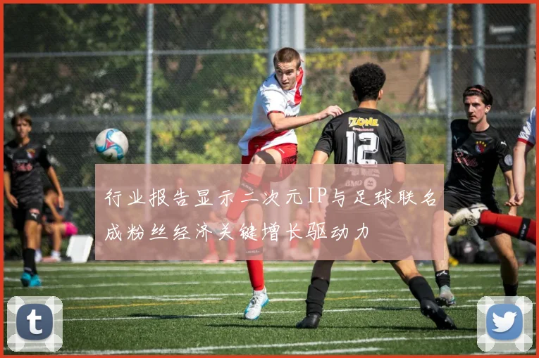 行业报告显示二次元IP与足球联名成粉丝经济关键增长驱动力
